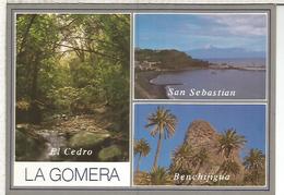 LA GOMERA SIN ESCRIBIR - Gomera