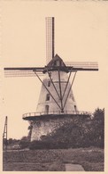 Boechout, De Molen, Moulin, Windmill (pk47944) - Boechout