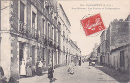 Paimboeuf Rue Neuve Les Postes Et Télégraphes éditeur Vassellier N°2156 - Paimboeuf