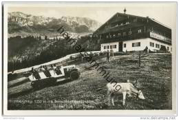 Bad Tölz - Blomberghaus - Ausflugs-Bus - Kühe - Foto-AK 30er Jahre - Bad Toelz