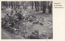 Ruhrquelle Bei Winterberg 1953 - Winterberg