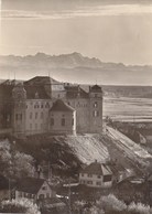 Tettnang - Schloss 1952 - Tettnang