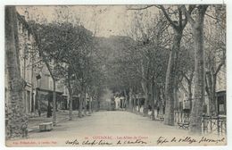 France // Var  // 83 // Cotignac, Les Allées Du Cours - Cotignac