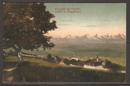 Carte P ( Suisse / Souvenir De Macollin / Châlet In Magglingen ) - BE Berne