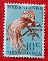 10 Ct Paradijsvogels Birds Vogel NVPH 27 1954 Ongebruikt MH NIEUW GUINEA NIEDERLANDISCH NEUGUINEA NETHERLANDS NEW GUINEA - Nouvelle Guinée Néerlandaise