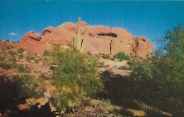 CARTE POSTALE ORIGINALE DE 9CM/14CM : HOLE IN THE ROCK PHOENIX NEAR TEMPE FAMOUS DESERT BOTANICAL GARDEN  ARIZONA USA - Phönix