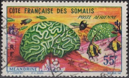 COTE DES SOMALIS Poste Aérienne 35 (o) Faune Sous-marine Méandrine Cachet Djibouti Afars Issas (CV 4 €) - Usati