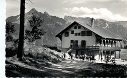 Chalet Bois-Riant - Le Paquier - Dt De Broc Du Chamois Et Du Bourgoz - Broc