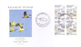 GREENLAND : 15-01-1990, FIRST DAY COVER : BLOCK OF 4v BIRD STAMP - KANGOQ / SNEGAS, ANSER CAERULESCENS - Storia Postale