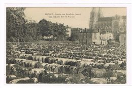 Delcampe - CPA. Cholet. Marché Aux Bœufs Du Samedi.     (454) - Cholet