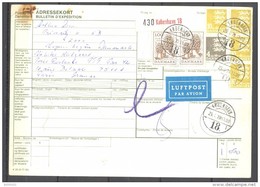 Bulletin D'Expédition - Colis Postaux - Danemark - Cachet COPENHAGUE / KOBENHAVN - 29/01/1979 - Pacchi Postali