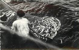 PORT DE PÊCHE DE LORIENT - Chalut Sortant De Mer, Pêche En Mer. - Pêche