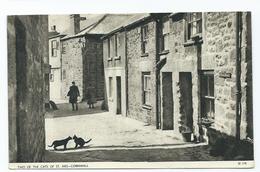 Cornwall Postcard St.ives 2 Cats Posted 1952 Chrom Series - St.Ives