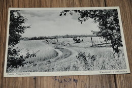 474- Oude Plaggeweg, Nunspeet-Vierhouten / HORSE, HORSES, PAARDEN, PFERDE, CHEVAUX, CABALLOS - Nunspeet