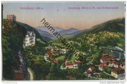 78132 Hornberg - Gesamtansicht - Schlosshotel - Hornberg