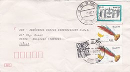 BUSTA  VIAGGIATA   - BRASILE  -  DESTINAZIONE MALGESSSO VARESE ( ITALIA ) 1979 - Lettres & Documents