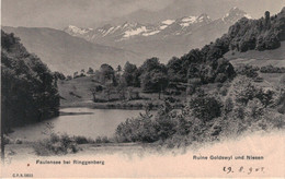 Faulensee Bei Ringgenberg - Ruine Goldswyl Une Niesen - Spiez - Ringgenberg