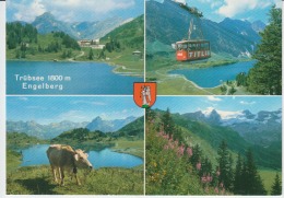 Switzerland,  Suisse, Schweiz, Svizerra - Trubsee Engelberg Unused - Trub