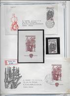 Tchécoslovaquie - Collection Spécialisée Enveloppes & Timbres - 60 Scans - Colecciones & Series