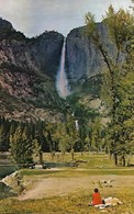 CARTE POSTALE ORIGINALE DE 9CM/14CM : YOSEMITE NATIONAL PARK CALIFORNIA   USA - Yosemite