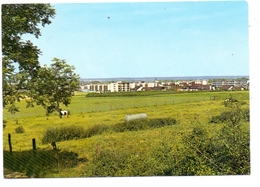 5308 RHEINBACH, Blick Vom Waldrand - Siegburg