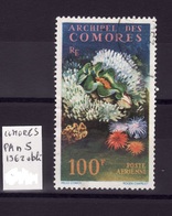 COMORES  PA 1962 N 5 Obli  C217 - Used Stamps