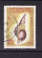 COMORES 1962 N 24  Obli  C221 - Gebruikt