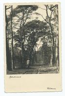 Netherlands Hilversum Rp Woody Glade Animated Posted 1933 - Hilversum