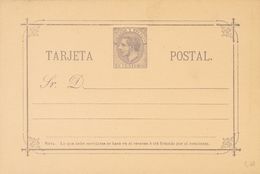 Entero Postal. (*) EP10 1882. 10 Cts Violeta Gris Sobre Tarjeta Entero Postal. MAGNIFICA. 2018 45. - Sonstige & Ohne Zuordnung