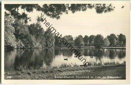 Wiener Neustadt - Pionierteich Im Parke Der Kriegsschule - Foto-Ansichtskarte - Wiener Neustadt