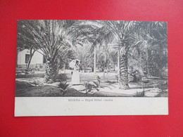 CPA ALGERIE BISKRA ROYAL HOTEL JARDIN FEMME - Biskra