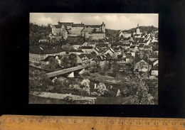 COLDITZ Kr Grimma Blick Zur Muldenbrücke Und Schloss  DDR - Colditz