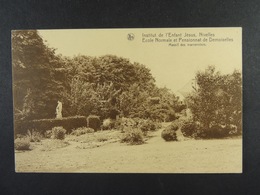 Nivelles Institut De L'Enfant Jésus Massif Des Marronniers - Nijvel