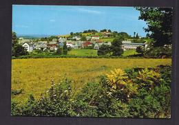 CPSM 15 - SAINT-MAMET - Vue Générale Et Puy St. Laurent - TB PLAN D'ensemble Du Village - Saint-Mamet-la-Salvetat