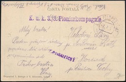 1917 Tábori Posta Képeslap 'K.u.k. 3./8. Pionierkompagnie' + 'FP 290 B' - Altri & Non Classificati
