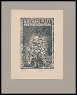 Mikes Ödön (1878-?): Nagyvárad Város Nyilvános Könyvtára 1917. Klisé, Papír, Jelzett, 6,5×4,5 Cm - Altri & Non Classificati