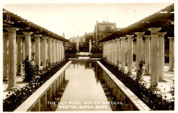 AVON - WESTON SUPER MARE - WINTER GARDENS  - THE LILY POND RP Av33 - Weston-Super-Mare