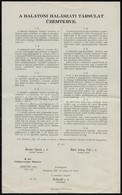 1927 A Balatoni Halászati Társulat Üzemterve 21x34 Cm - Altri & Non Classificati