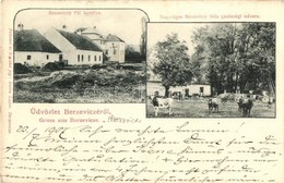 T2/T3 Berzevice, Brezovica; Berzeviczy Pál Kastélya, Nagyságos Berzeviczy Béla Gazdasági Udvara, Szarvasmarhák. Enten La - Non Classificati