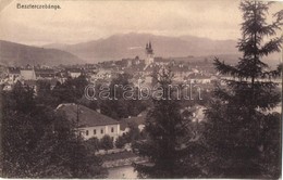 T2/T3 Besztercebánya, Banská Bystrica; Látkép. Machold F. Kiadása / General View (EK) - Non Classificati