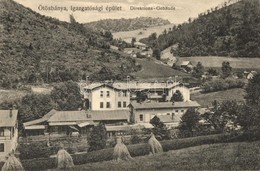 T2 1915 Ötösbánya, Rudnany, Kotterbach; Bányaigazgatósági épület / Mine Directorate - Non Classificati
