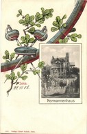 T2 1908 Jena, Normannenhaus / Villa. Studentica, Fencing Art Postcard - Non Classificati