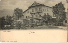 ** T2/T3 Sinaia, Hotel Sinaia. Römmler & Jonas (EK) - Non Classificati