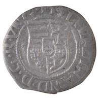 1551K-B Denár Ag 'I. Ferdinánd' (0,49g) T:2,2-
Hungary 1551K-B Denar Ag 'Ferdinand I' (0,49g) C:XF,VF
Huszár: 935., Unge - Non Classificati