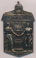 1939. 'Testvériség SE 1909' Br Emlékplakett, Hátoldalon Gravírozva (52x84,5mm) T:2 Hátoldalon Sérülés - Non Classificati