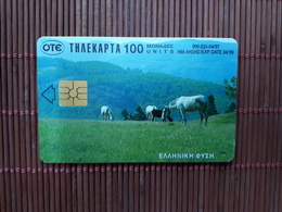 Horse Phonecard Used - Chevaux