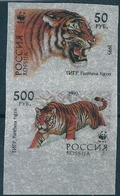 B1714 Russia Rossija Fauna Animal Tiger Pair Colour Proof - Abarten & Kuriositäten
