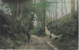 Rhode-St-Genèse.   Rue De Termeule.   -   1913   -   Prachtige Gekleurde Kaart  1913   Naar   Gand - Rhode-St-Genèse - St-Genesius-Rode