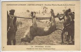 CPA Chasse Chasseur éléphant Afrique Noire Non Circulé Lion - Non Classés