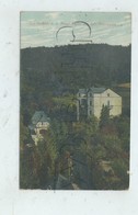 Bad Bertrich  (Allemagne, Rhénanie-Palatinat) : Haus Vom Mosel Partie Aus Dem Peterwald Im 1915 PF. - Bad Bertrich